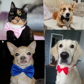 40 cm Podesiva kravata za pse, mačke, štene, kućne ljubimce, kravata na vrat, artikli, Mače, ogrlica za Mačke, Remen za njegu mačka, Pribor za njegu psom 1PC