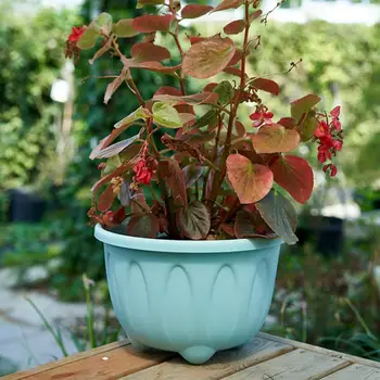 Cvjetni lonac, prekrasan moderan jednostavan plastični lonac za cvijeće biljke, lonac za povrće sa ladicu za dom