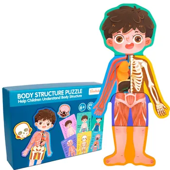 Dječji biološke igračke Struktura ljudskog tijela Kognitivna puzzle Drvene igračke-slagalice za dječake i djevojčice Sigurnost Razvojne igračke
