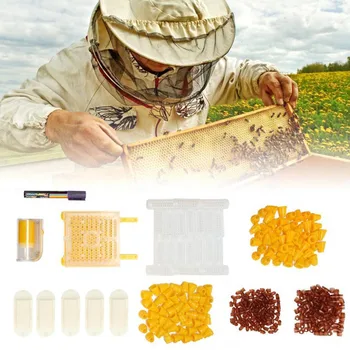Kit sustav uzgoja маток, Komplet za označavanje cijepljenja za čuvari, Kvalitetan skup sustava skrbi Flow Honey S