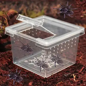 Kutija za uzgoj gmazova S gornjim poklopcem Transparentno Prozračni Za žabe, Zmije, pauci, prijenosni terariju za staništa reptila